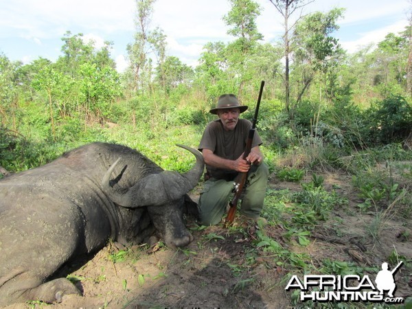 Buffalo from Nyamazana Safaris Zimbabwe