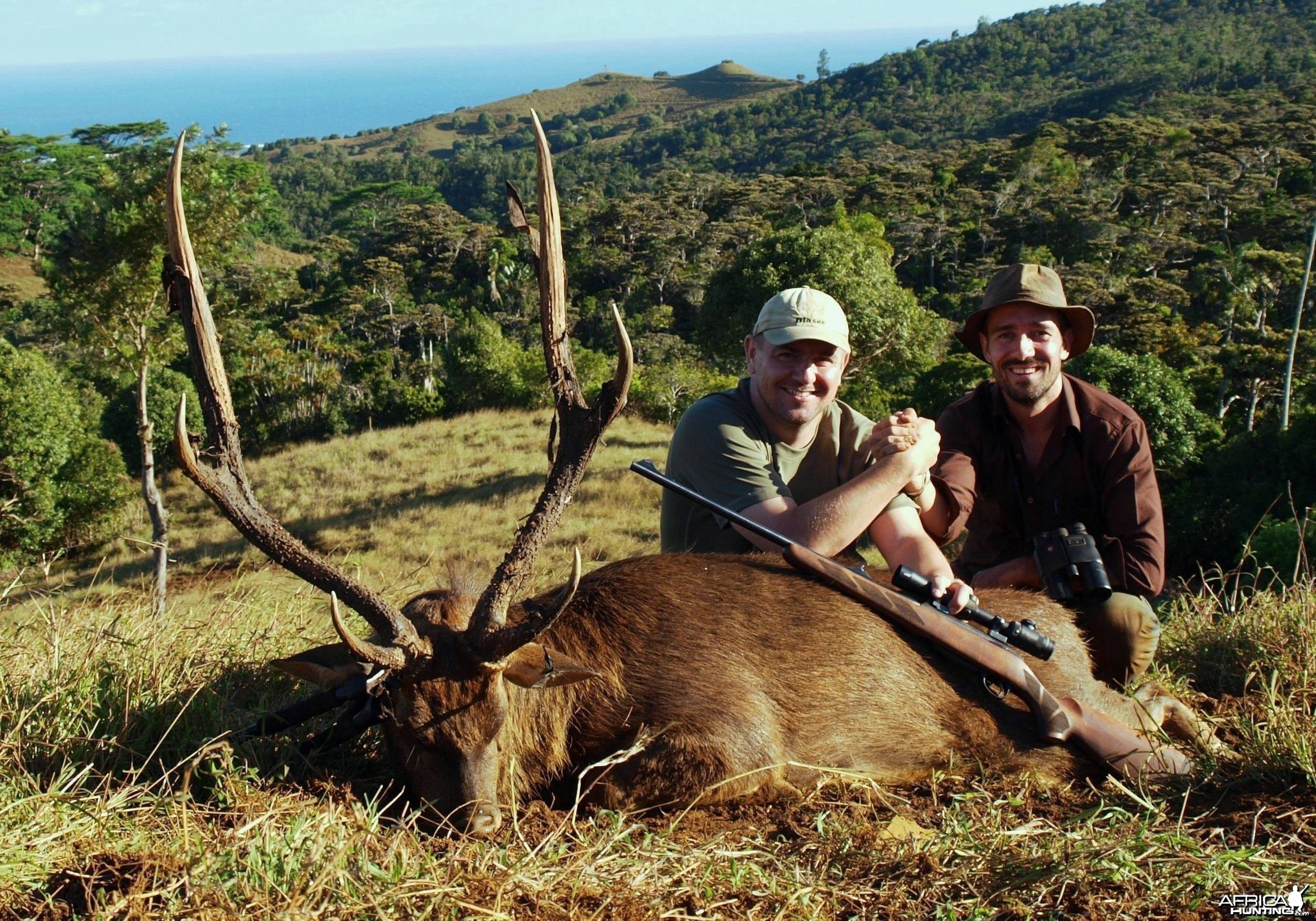 A 37 inches rusa deer hunted with &quot;le chasseur mauricien ltd&quot; in