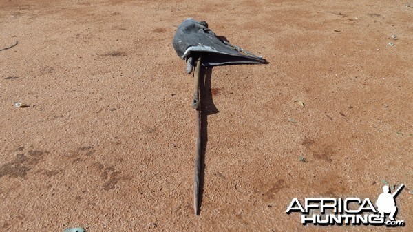 Bushman Bag Namibia