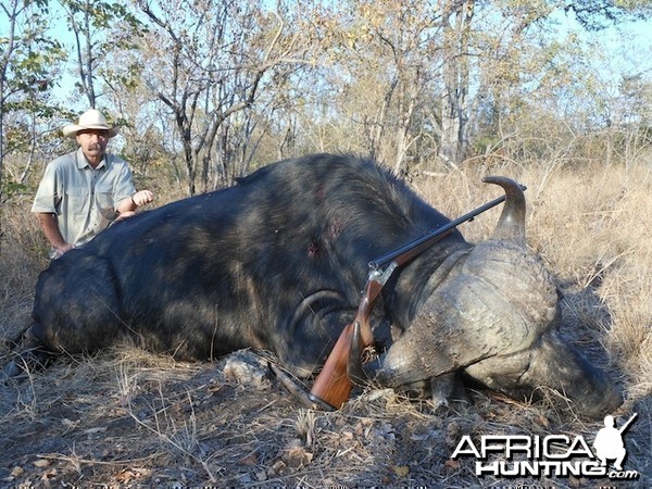 Buffalo 2015 Bulls with Spear safaris