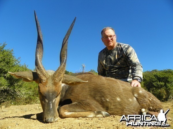 Bushbuck KMG Hunting Safaris