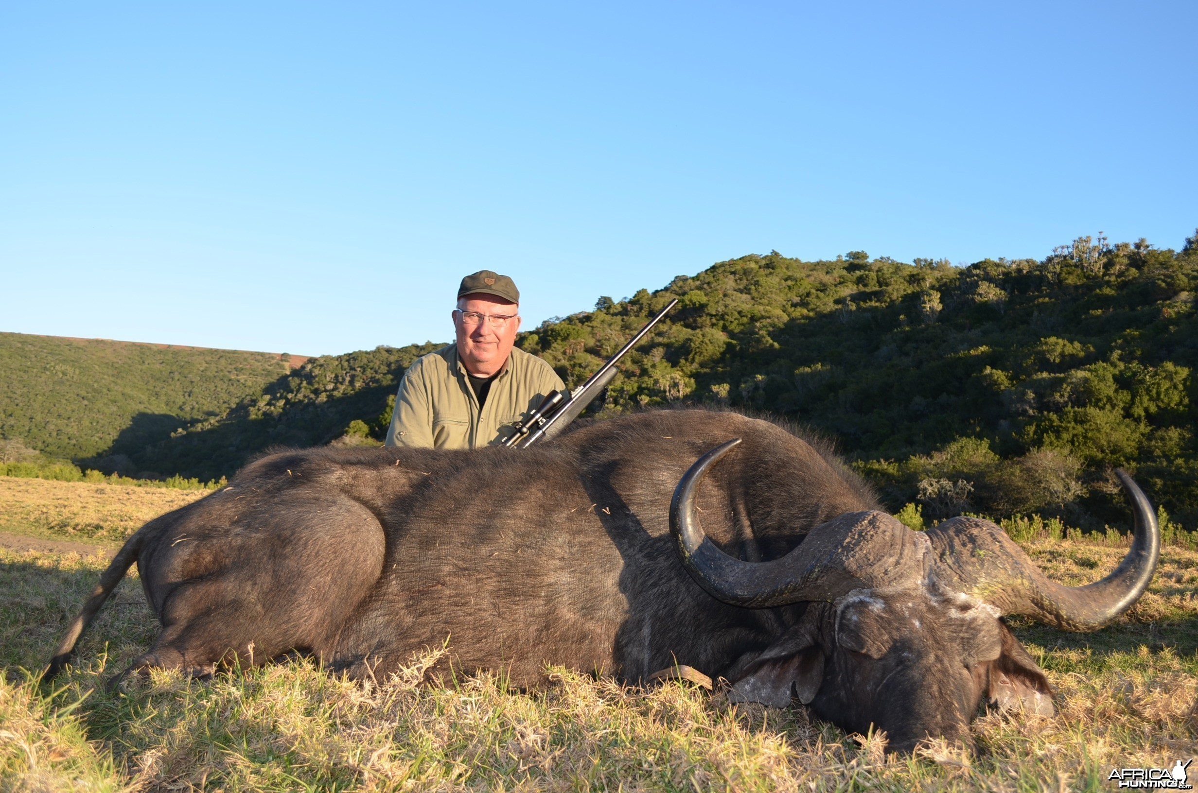 Buffalo KMG Hunting Safaris