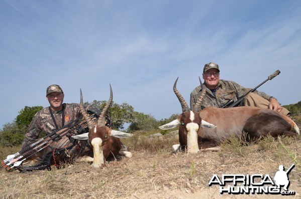 Blesbok KMG Hunting Safaris