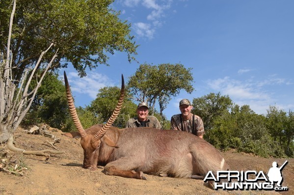 Waterbuck KMG Hunting Safaris