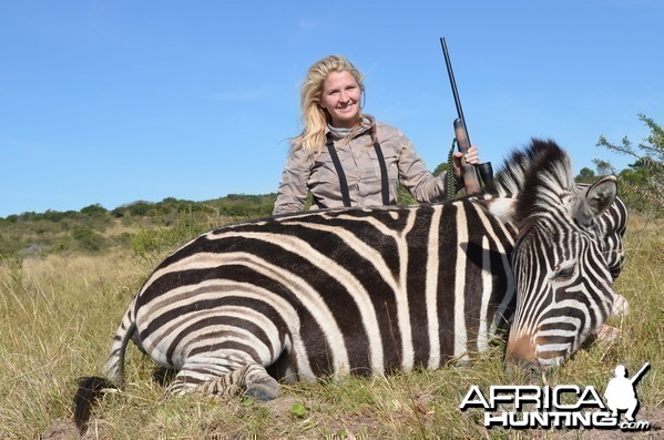 Zebra KMG Hunting Safaris