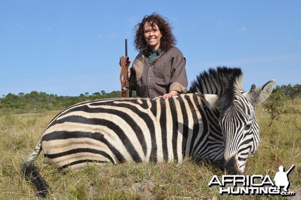 Zebra KMG Hunting Safaris