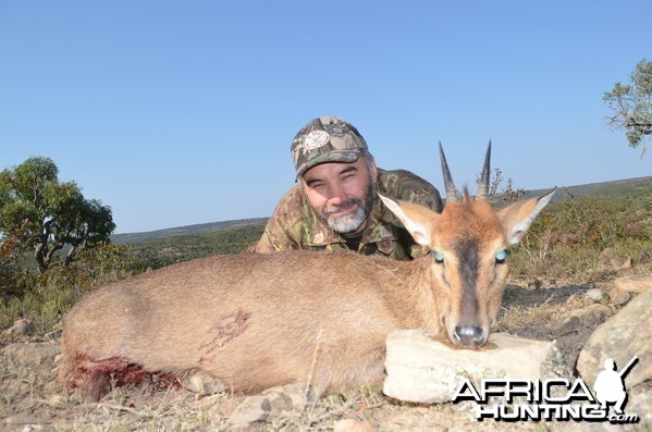 Duiker KMG Hunting Safaris