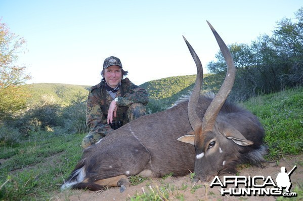 Nyala KMG Hunting Safaris