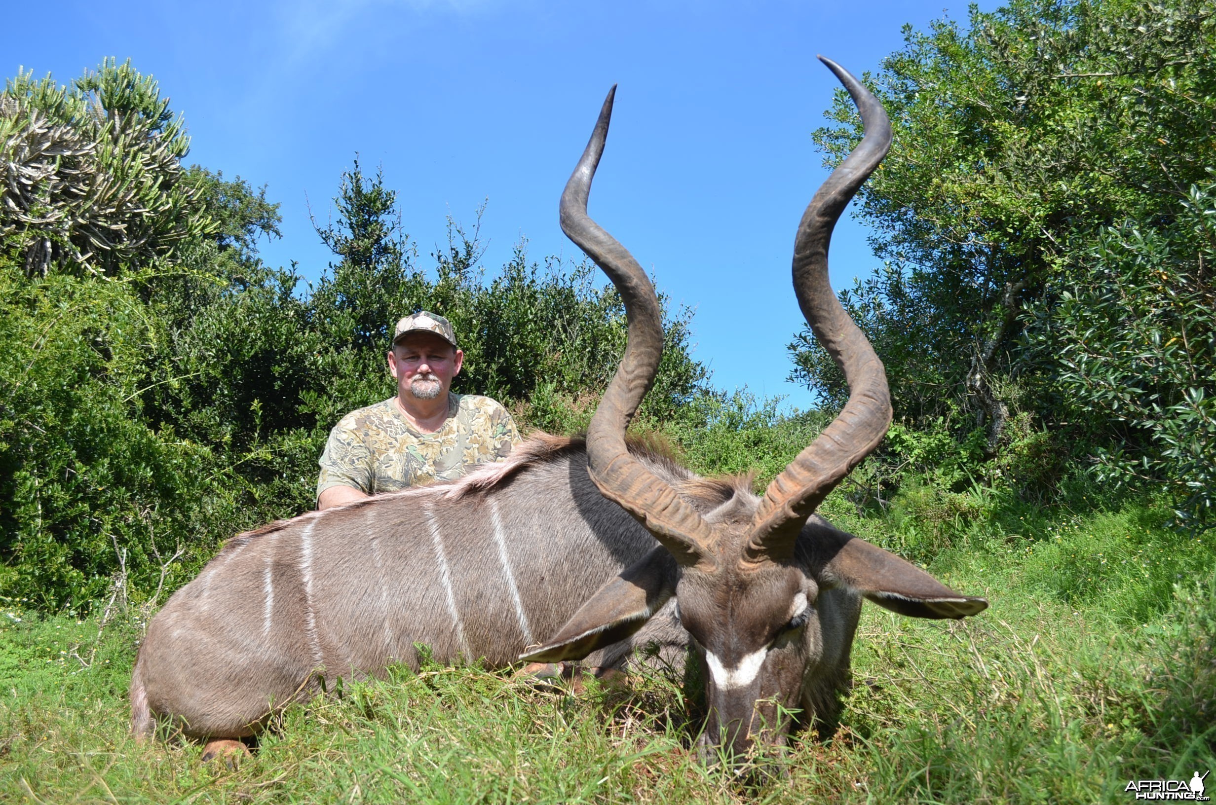 Kudu KMG Hunting Safaris