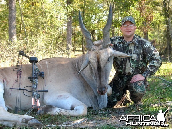 Greater Eland