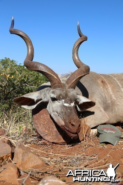 Kudu