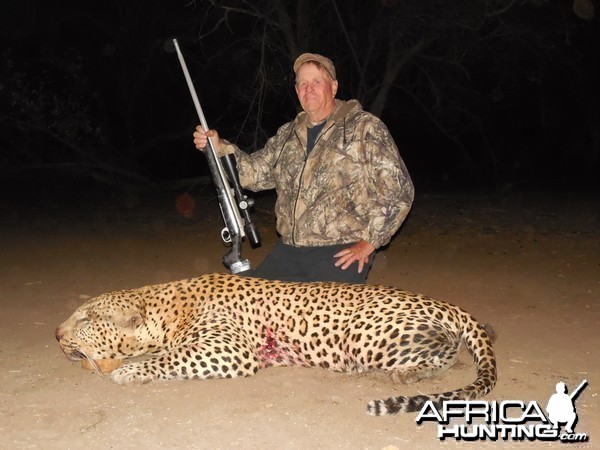 Hunting Leopard at Ozondjahe Hunting Safaris in Namibia