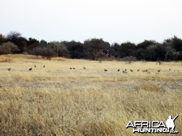 Namibia, July 2014