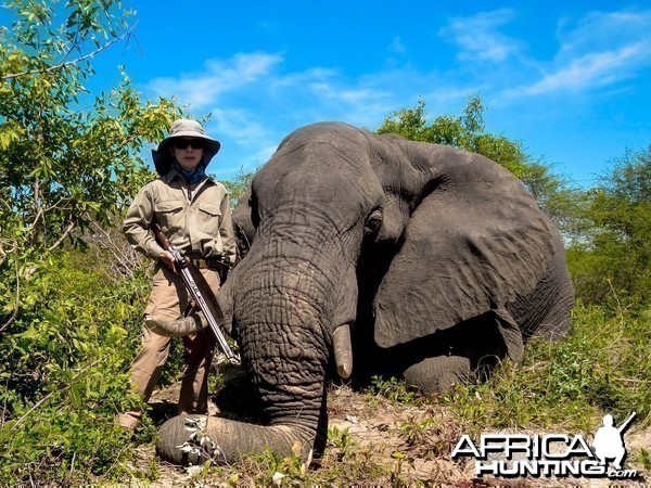 Zimbabwe Elephant, November 2014