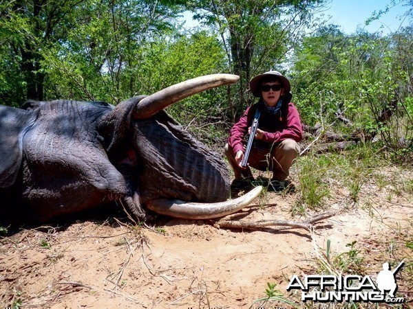 Elephant Zimbabwe, November 2014