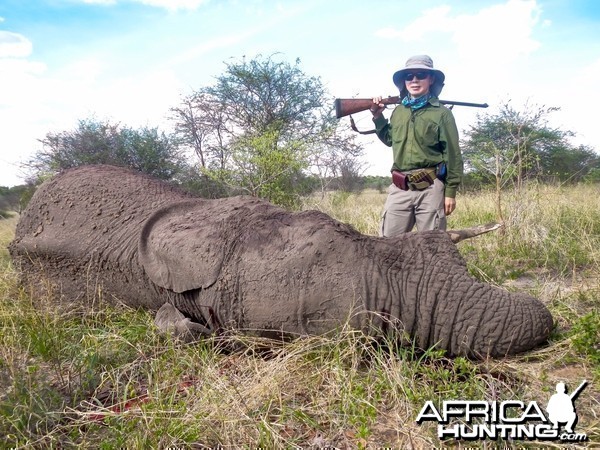 Elephant Zimbabwe, November 2014