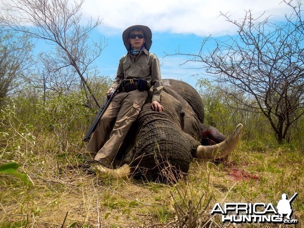 Elephant Zimbabwe, November 2014