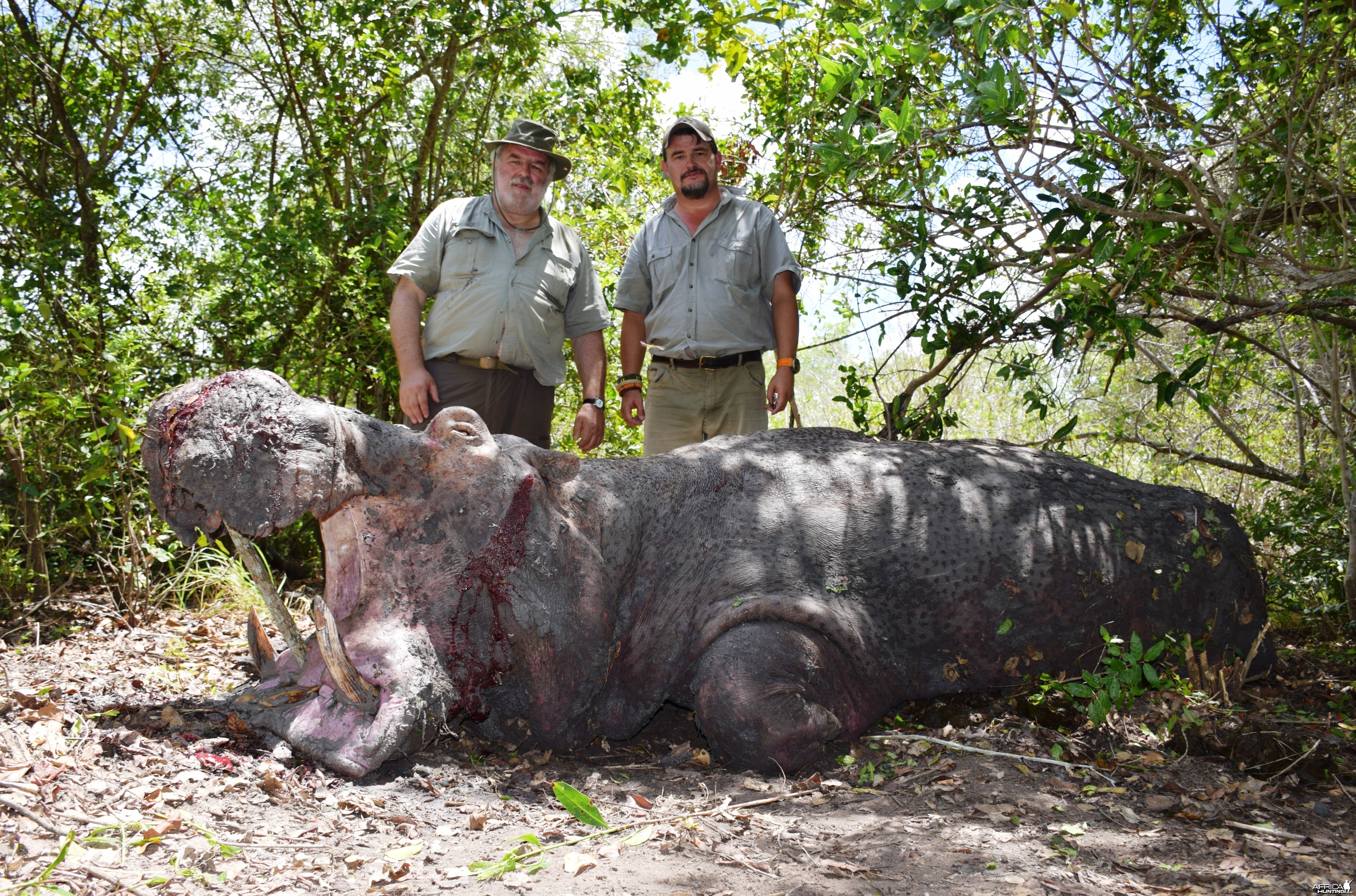 Hippo Hunting Selous 2014