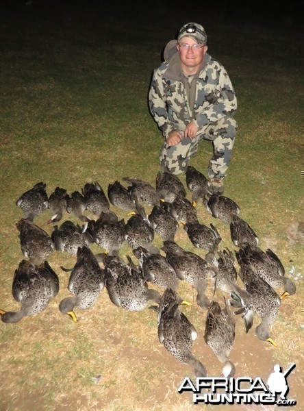 Yellow-billed ducks &amp; Red-billed teal - 2014