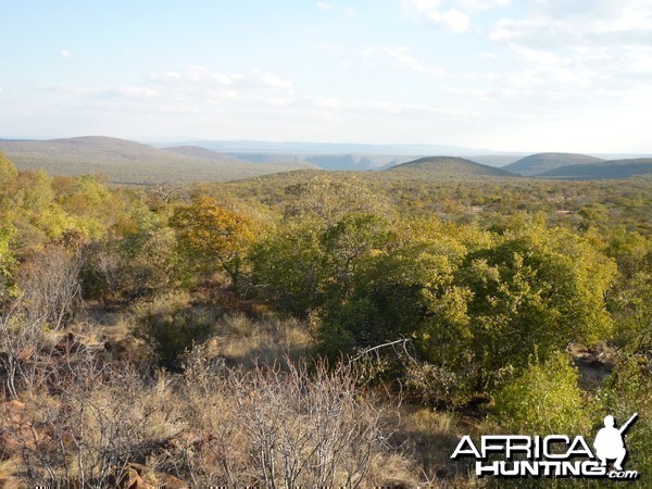 Arc Africa Hunting Safaris - Waterberg Concession