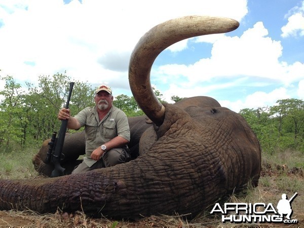 Elephant - South Africa