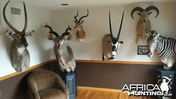 Trophy room, finished