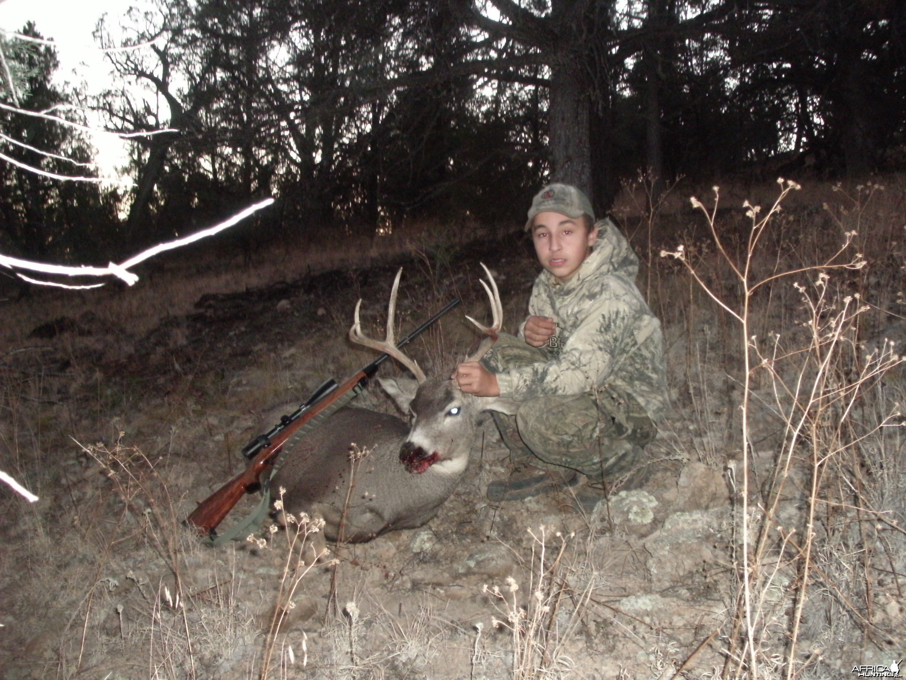 First mule deer