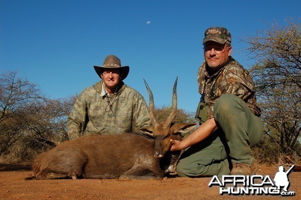 Bushbuck