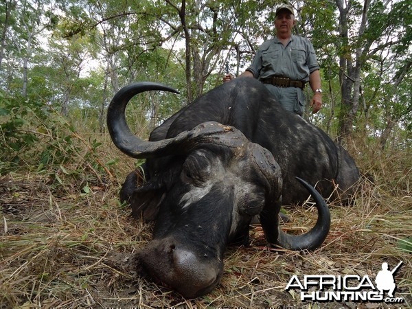 Buffalo Tanzania