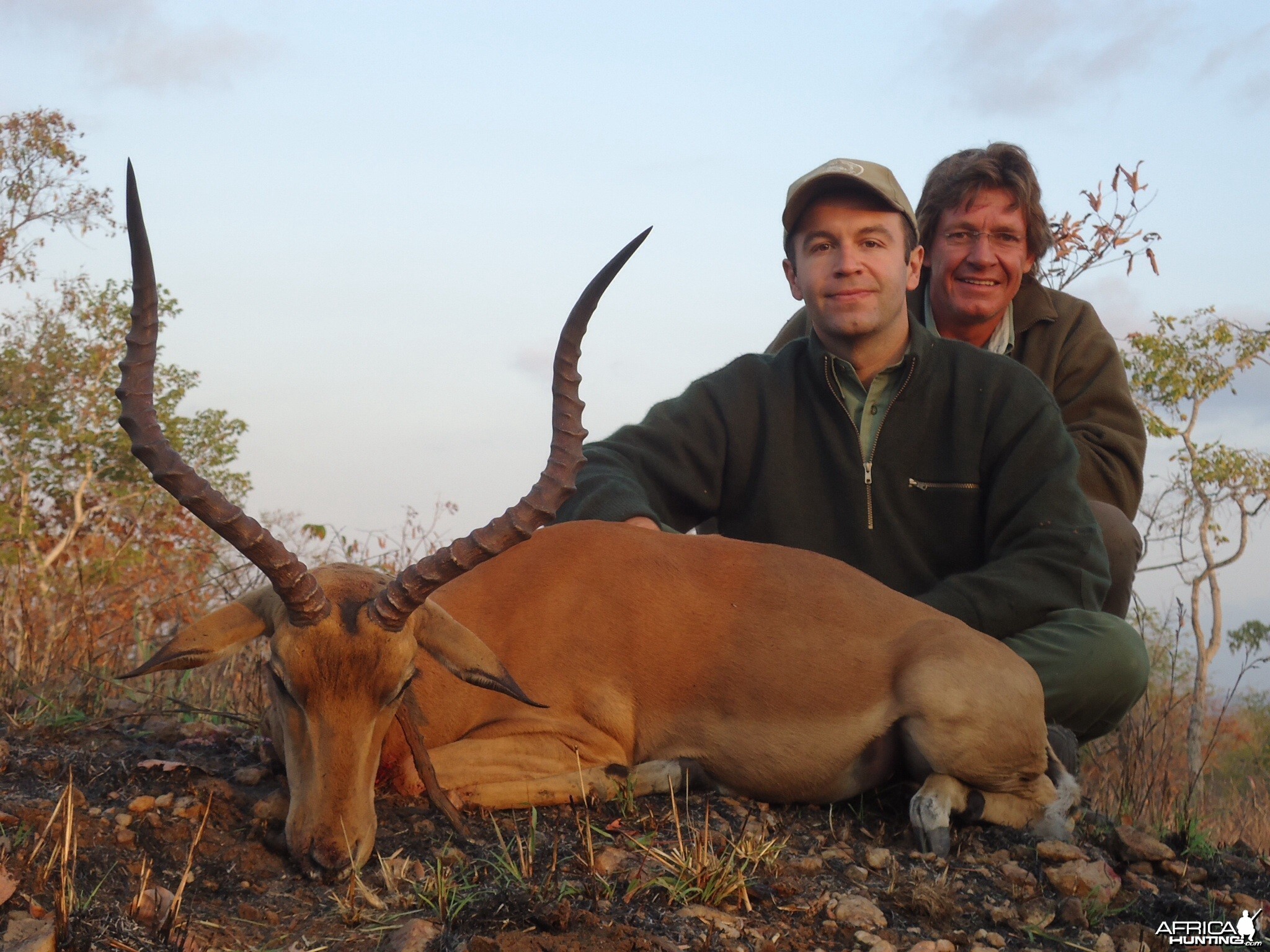 Impala Tanzania