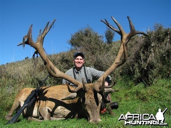 Red Stag Hunt New Zealand