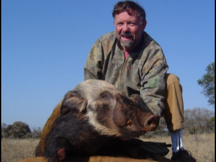 Bushpig A real challenge