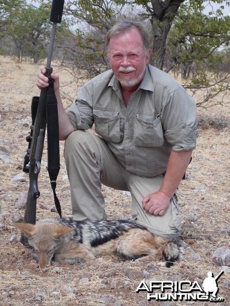 Jackal Etosha Heights 2015-10-22