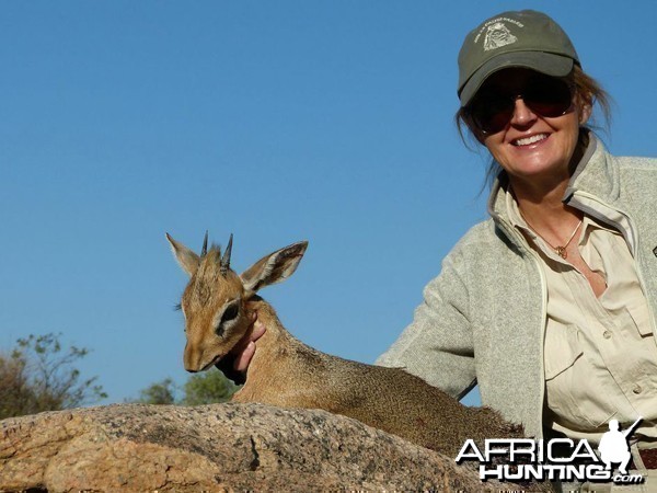 Damara Dik-Dik hunted at Westfalen Hunting Safaris Namibia