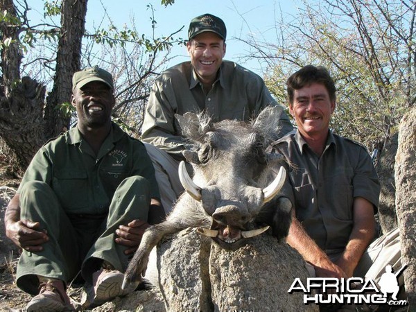 Warthog hunted at Westfalen Hunting Safaris Namibia