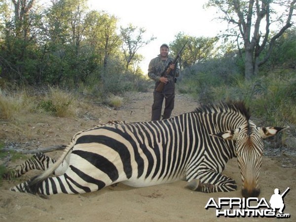 Hartmann's Zebra hunted at Westfalen Hunting Safaris Namibia