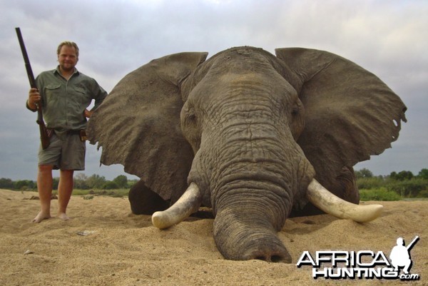 Hunting Elephant Zimbabwe