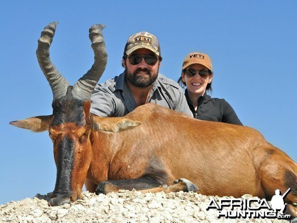 Red Hartebeest hunted at Westfalen Hunting Safaris Namibia