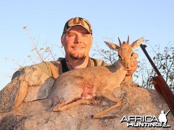 Damara Dik-Dik hunted at Westfalen Hunting Safaris Namibia