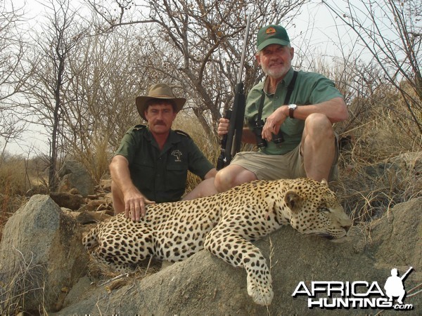 Leopard hunted at Westfalen Hunting Safaris Namibia