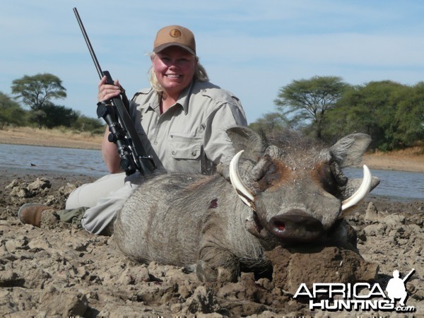 Warthog hunted at Westfalen Hunting Safaris Namibia