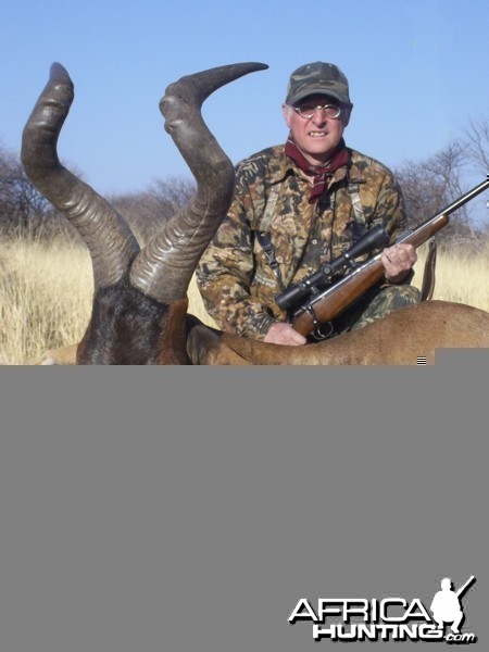 Red Hartebeest hunted at Westfalen Hunting Safaris Namibia