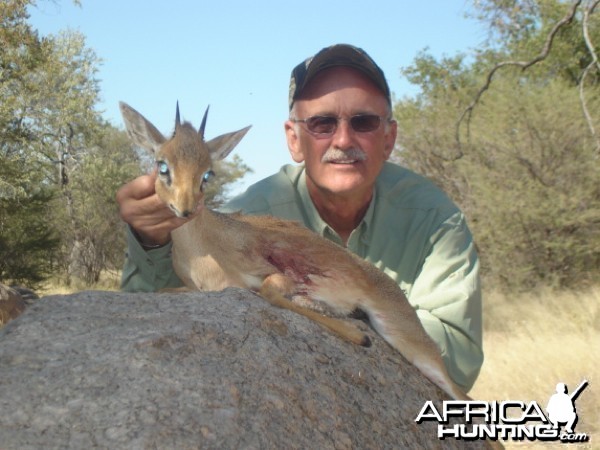 Damara Dik-Dik hunted at Westfalen Hunting Safaris Namibia