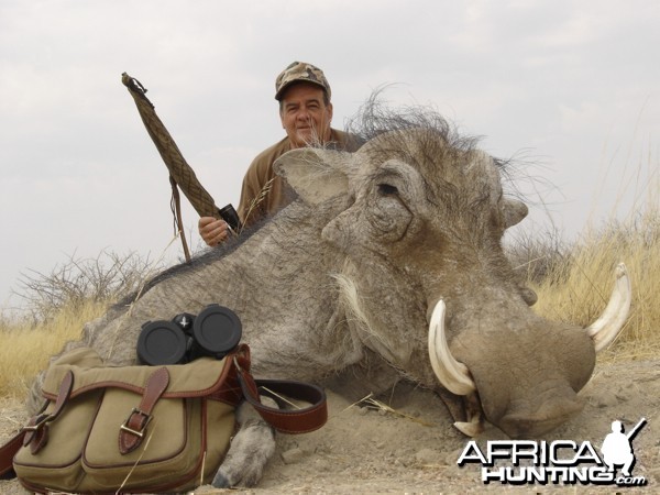 Warthog hunted at Westfalen Hunting Safaris Namibia