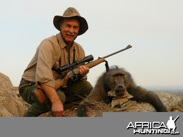 Chacma Baboon hunted at Westfalen Hunting Safaris Namibia