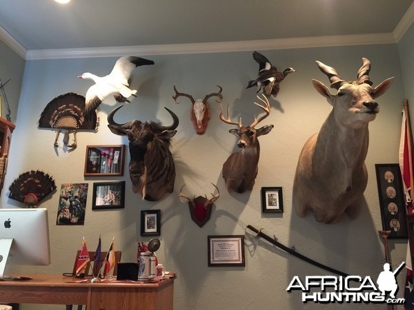 Trophy room