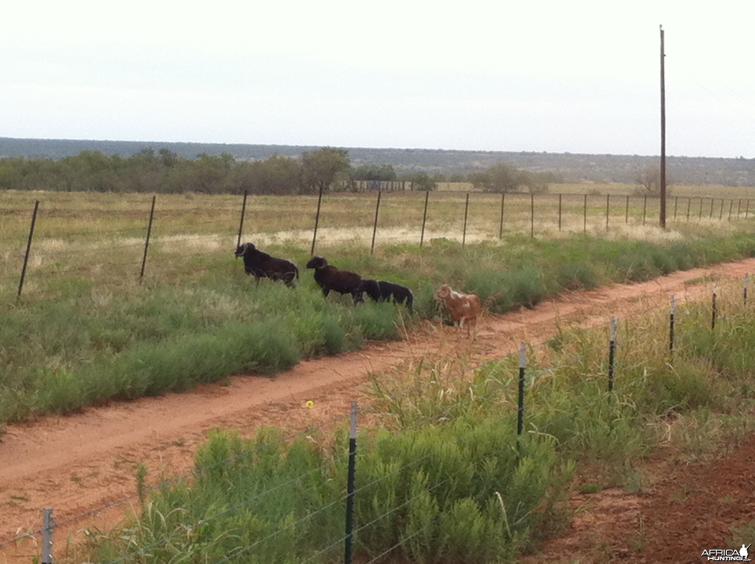 Rockin G Ranch