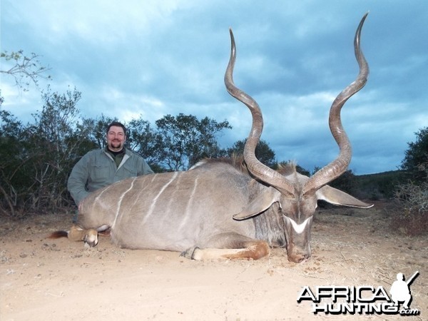 52&quot; eastern cape kudu