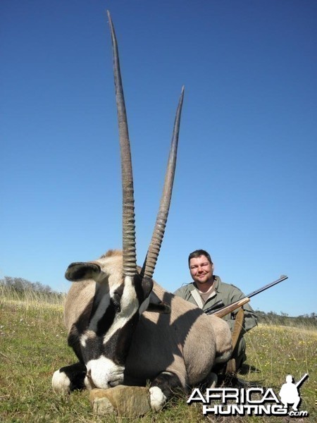 Gemsbok