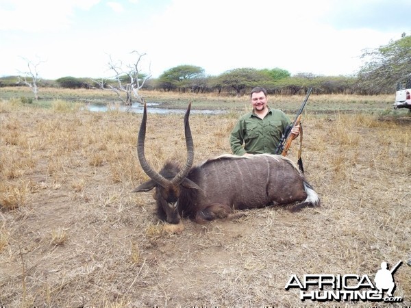 Kwazulu Natal Nyala